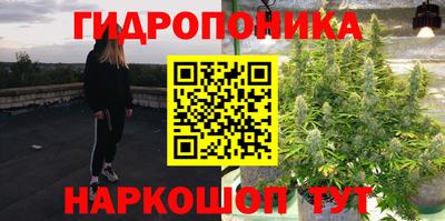 мдпв Янаул