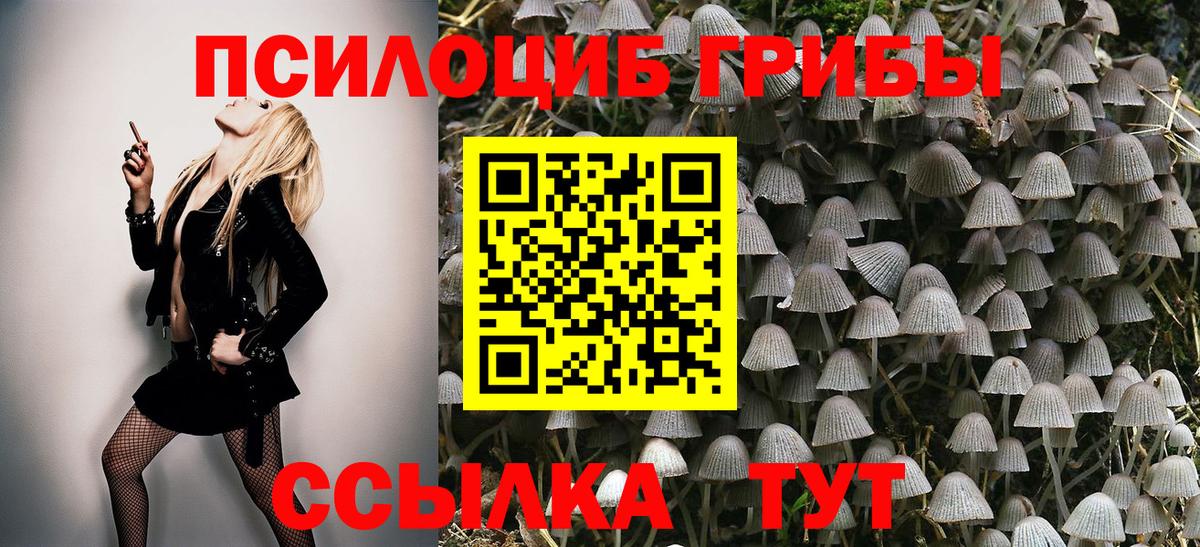 Псилоцибиновые грибы Psilocybe  Вход с VPN  Мичуринск 